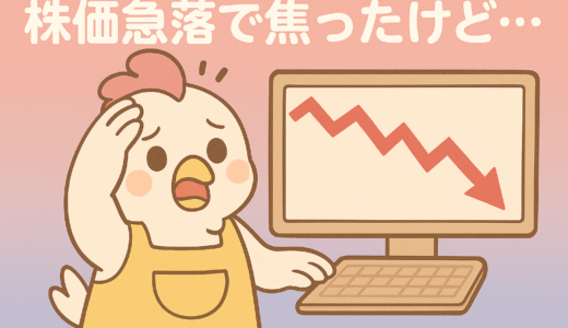 【体験＋解説】関税ショックでS&P500が暴落…でも私はホールド＆買い増しできた話